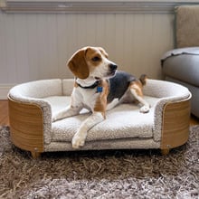 Luna Boucle Pet Bed